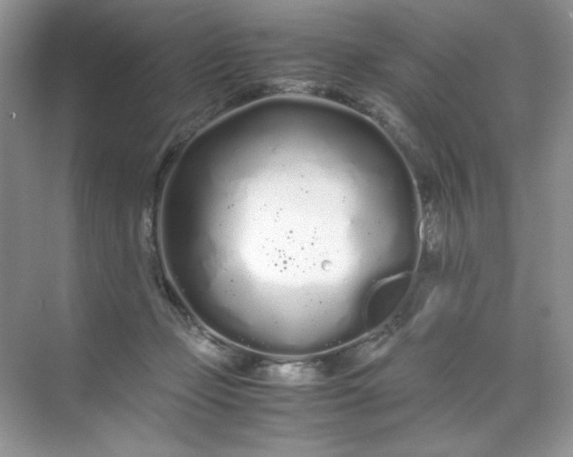 X0000071970365200607212324