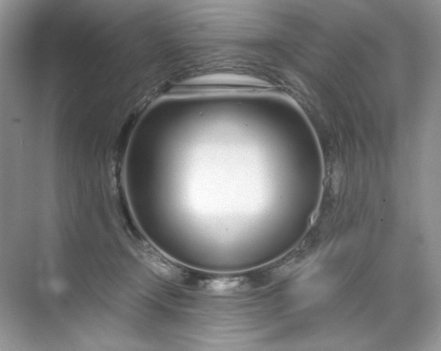 X0000071970366200607212324