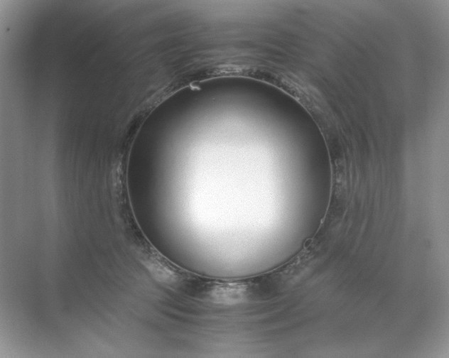 X0000071970369200607212324