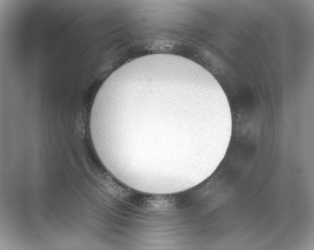 X0000071970370200607212324