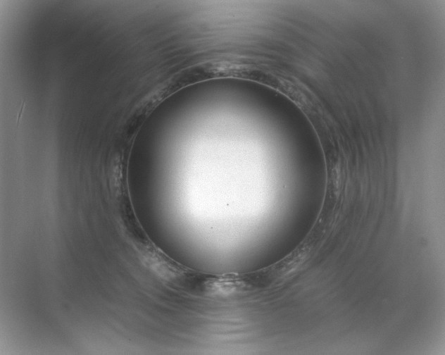 X0000071970372200607212324