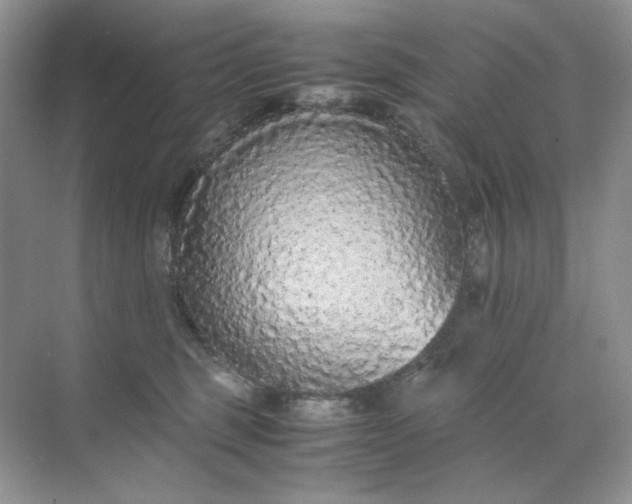 X0000071970375200607212324