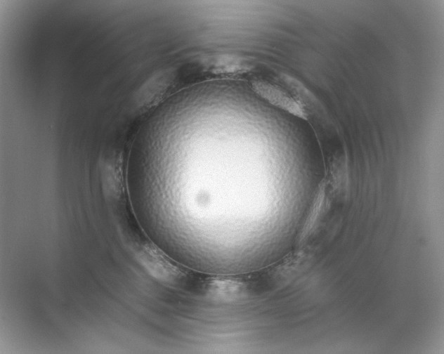 X0000071970376200607212324