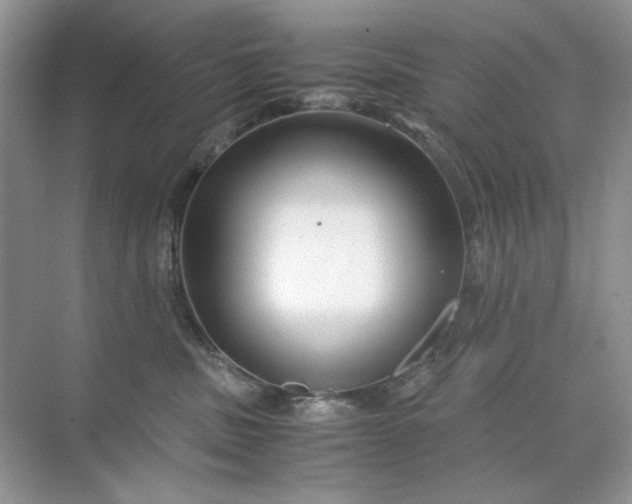 X0000071970379200607212324