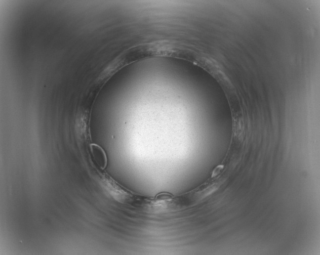 X0000071970382200607212324