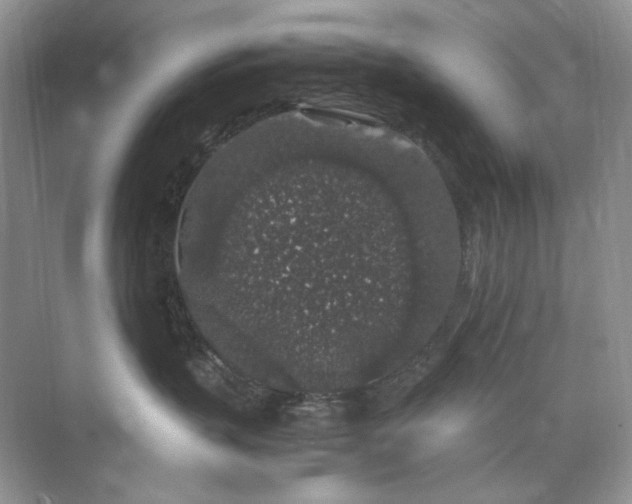 X0000071970383200607212324