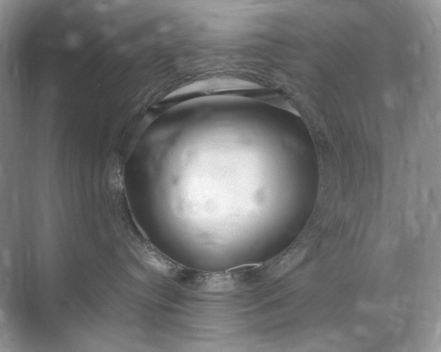 X0000071970384200607212324