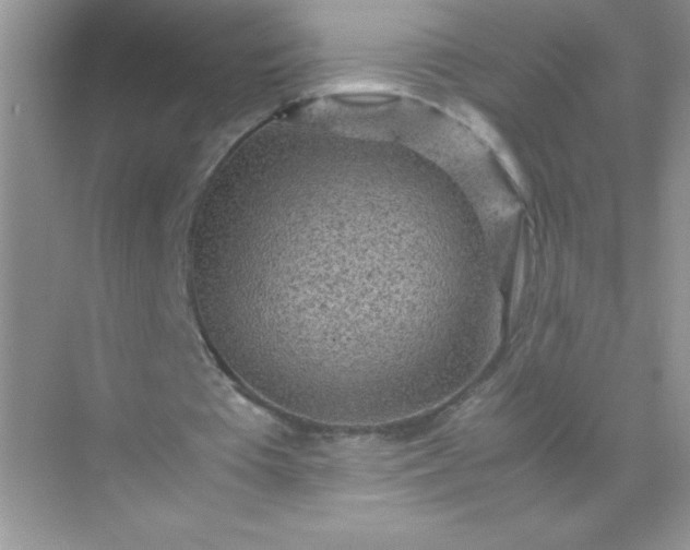 X0000071970385200607212324