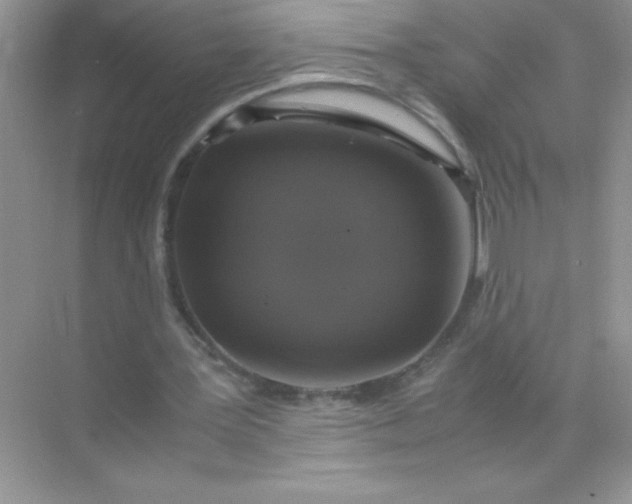 X0000071970387200607212324