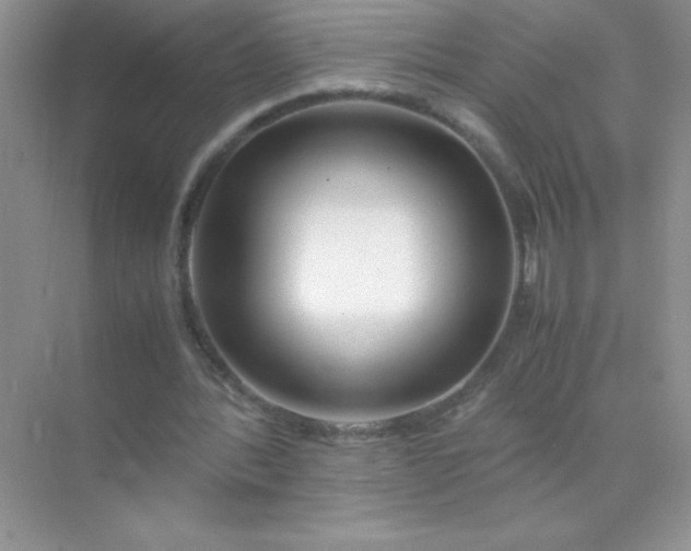 X0000071970388200607212324