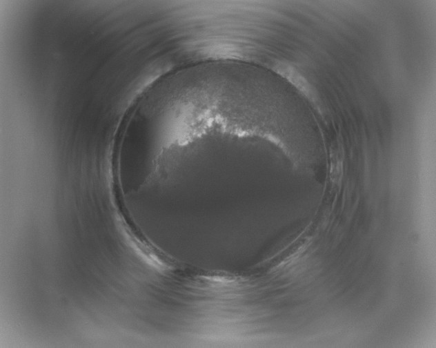 X0000071970390200607212324