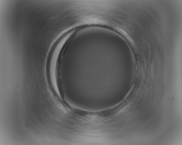 X0000071970391200607212324