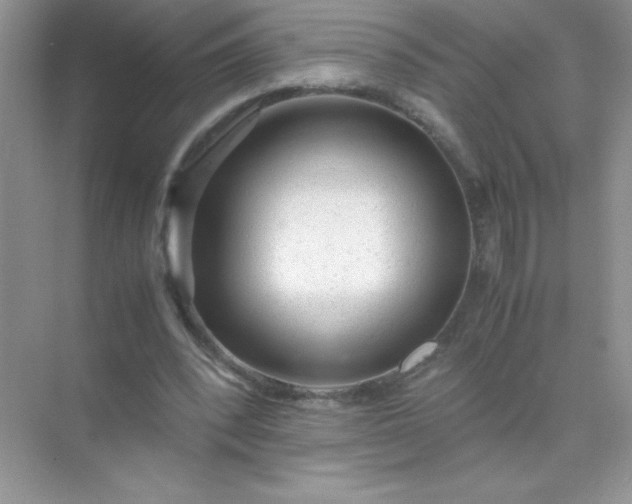 X0000071970392200607212323