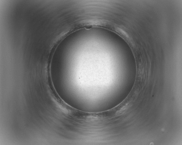 X0000071970394200607212323