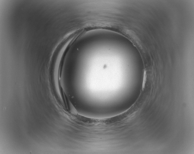 X0000071970395200607212323