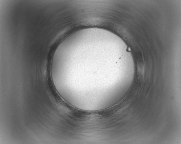 X0000071970396200607212323