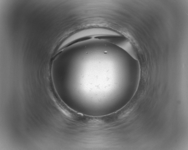 X0000071970397200607212323