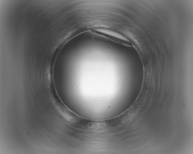 X0000071970398200607212323