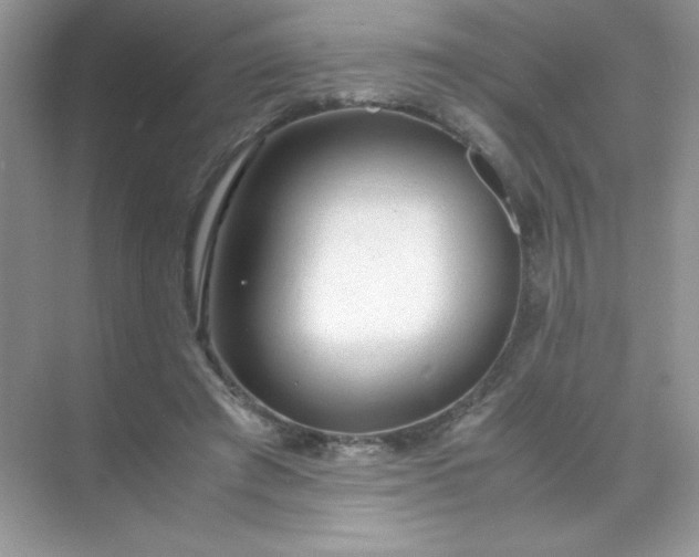 X0000071970401200607212323