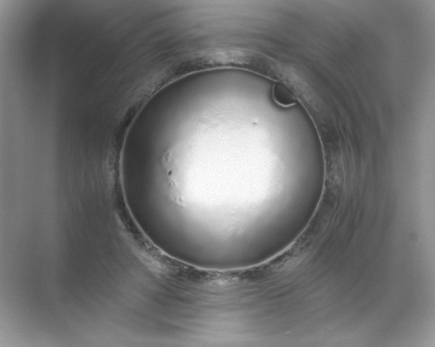 X0000071970402200607212323