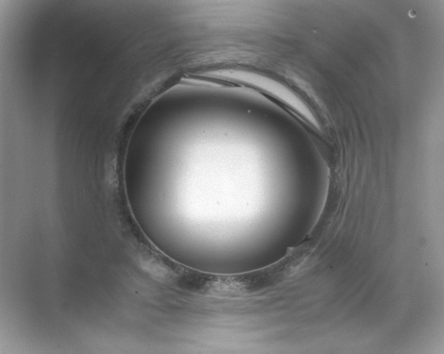 X0000071970403200607212323