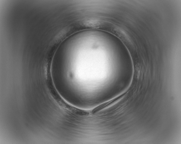 X0000071970404200607212323