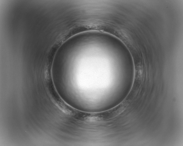 X0000071970408200607212323