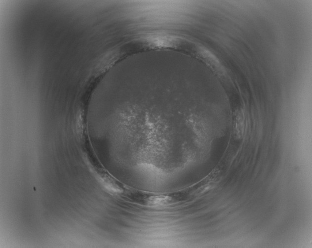 X0000071970410200607212323