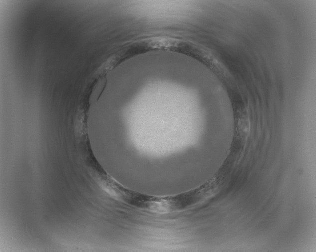 X0000071970411200607212323