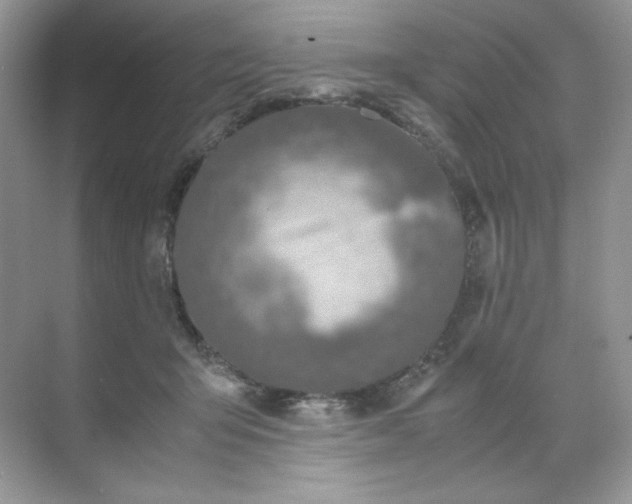 X0000071970415200607212323