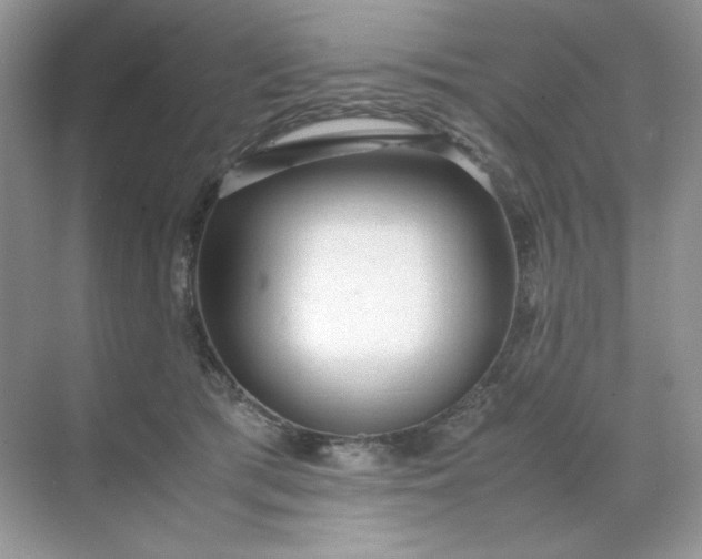 X0000071970417200607212323