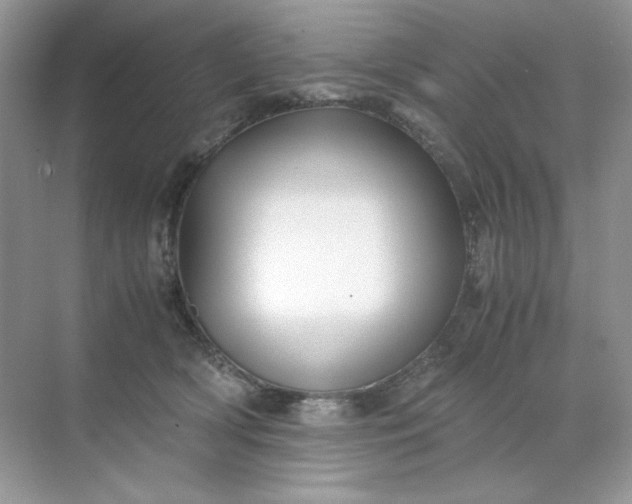 X0000071970418200607212323