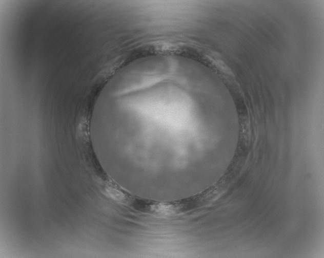 X0000071970419200607212323