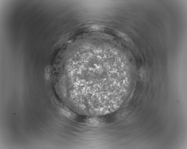 X0000071970423200607212323