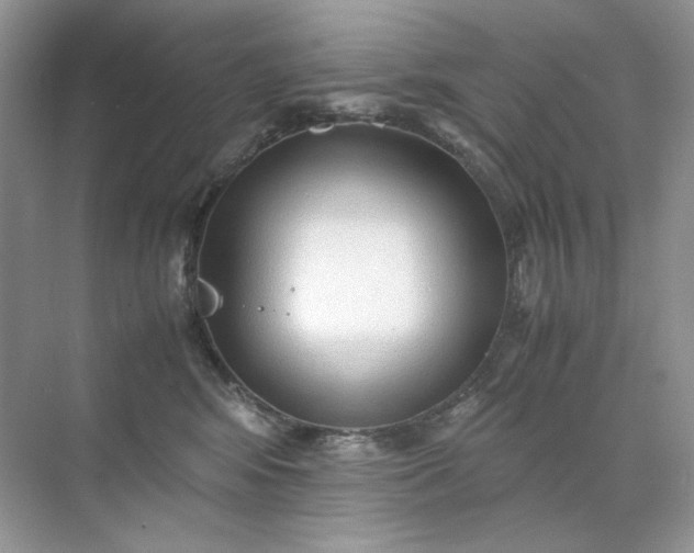 X0000071970424200607212323