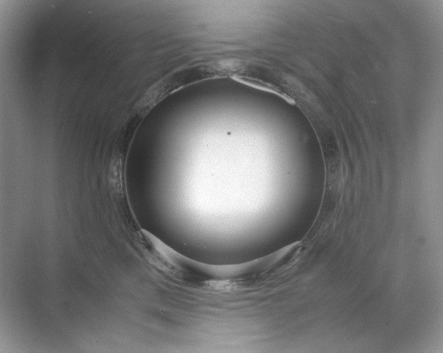 X0000071970425200607212323