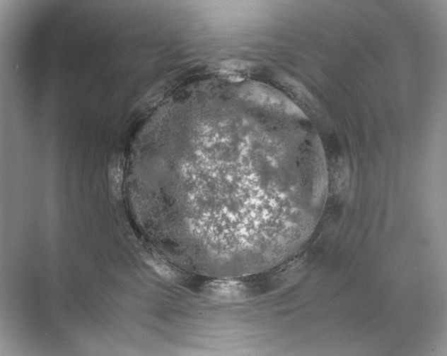 X0000071970427200607212323