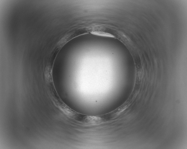 X0000071970429200607212323