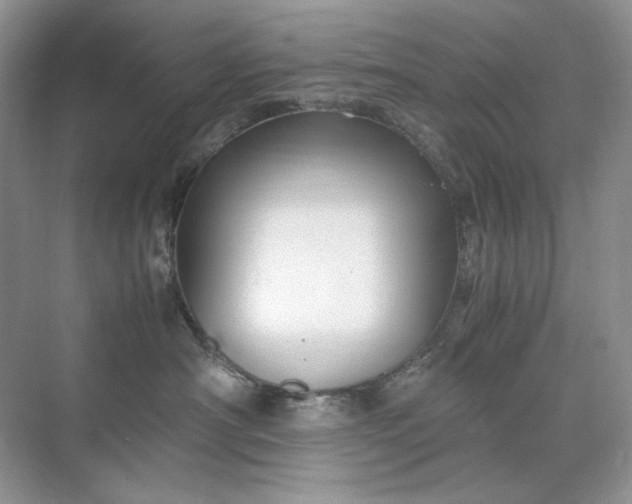 X0000071970430200607212323