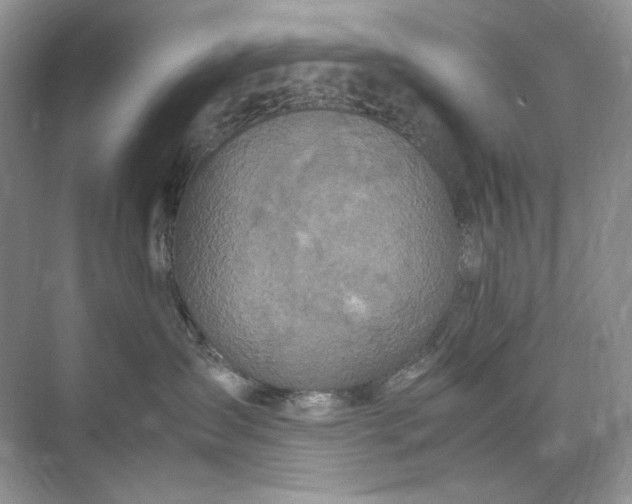 X0000071970431200607212323