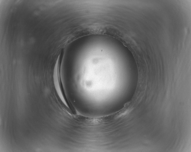 X0000071970432200607212323