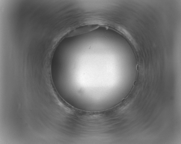 X0000071970433200607212322