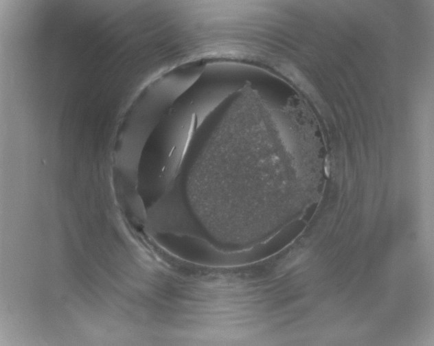 X0000071970434200607212322