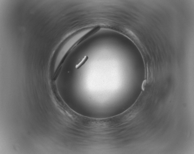 X0000071970435200607212322