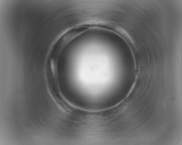 X0000071970436200607212322