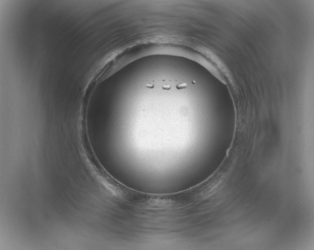 X0000071970437200607212322