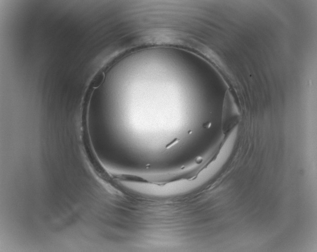 X0000071970438200607212322