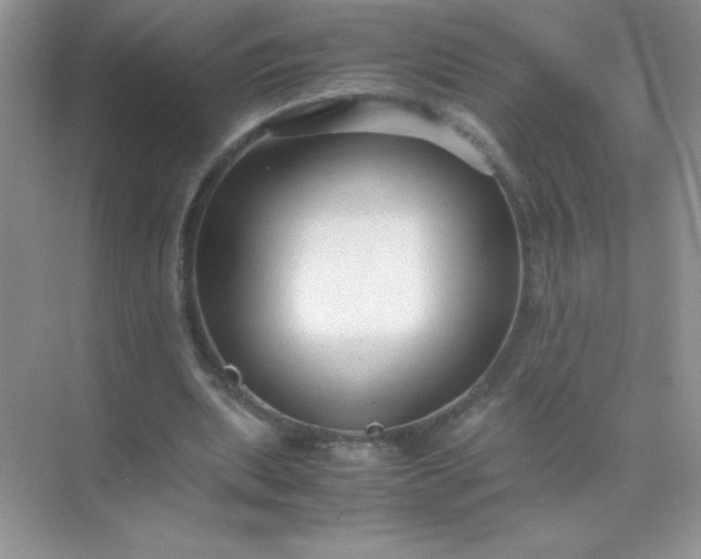 X0000071970439200607212322