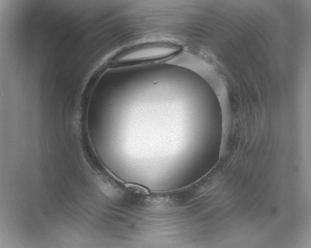 X0000071970440200607212322