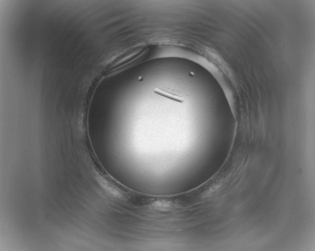 X0000071970441200607212322